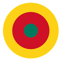 Cameroon Air Force Alpha Jet Airplane Custom Airplane Model Briefing Stick