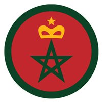 Royal Moroccan Air Force Alpha Jet Airplane Custom Airplane Model Briefing Sticks