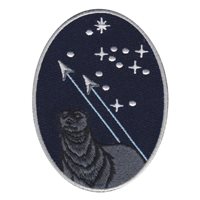 USSF Operational Test Team 2 Patch