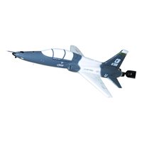 49 FTS T-38 Custom Airplane Briefing Stick