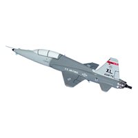 434 FTS T-38 Custom Airplane Briefing Stick