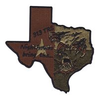 313 TRS Morale OCP Patch