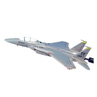 2 FS F-15C Custom Airplane Model Briefing Sticks