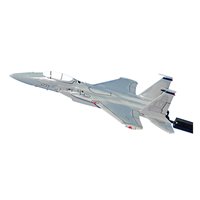 19 FS F-15C Custom Airplane Model Briefing Sticks