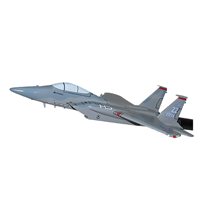 67 FS F-15C Custom Airplane Model Briefing Sticks