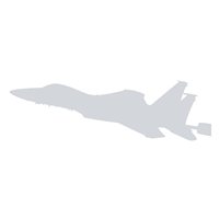 F-15C Eagle Custom Airplane Model Briefing Sticks