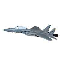 53 FS F-15C Custom Airplane Model Briefing Sticks