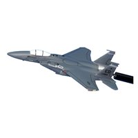 419 FLTS F-15E Strike Eagle Briefing Sticks