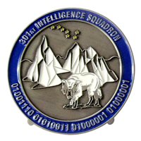 301 IS Excellence Challenge Coin