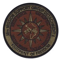 36 MSG Det 1 OCP Patch 