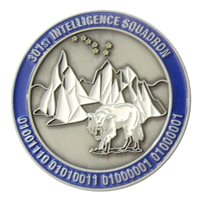 301 IS Commander Challenge Coin