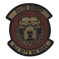 434 SFS Delta Dawgs OCP Patch