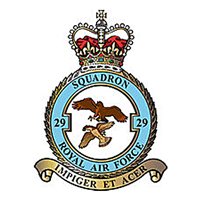 (No. 29 Squadron Royal Air Force Typhoon) Airplane Briefing Stick