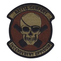 2 BN, 1 Brigade B Co Skull Patch
