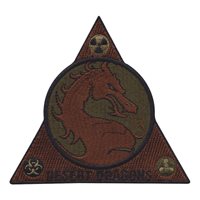 386 ECEX Desert Dragons OCP Patch
