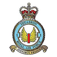 (No.1 Squadron Royal Air Force Typhoon) Airplane Briefing Stick