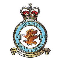 (No.11 Royal Air Force Typhoon) Airplane Briefing Stick