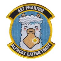 161 IS AET Phantom Patch
