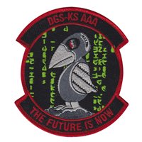 161 IS KANSAS DGS Morale Patch