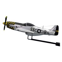 Double Trouble P-51D Custom Airplane Model Briefing Sticks