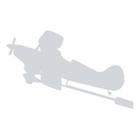 Skybolt Custom Airplane Model Briefing Sticks