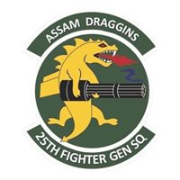 25 FGS Patch