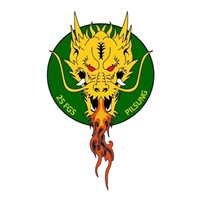 25 FGS Pilsung Dragon Patch