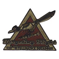 250 IS Targeting Flight OCP Patch