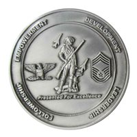 110 MSG Command Challenge Coin