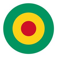 Guinea Air Force Mi-24 Custom Airplane Briefing Stick 