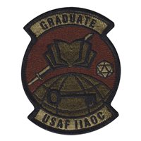 313 TRS IIAOC Graduate OCP Patch