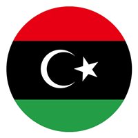 Libyan Air Force Mi-24 Custom Airplane Briefing Stick