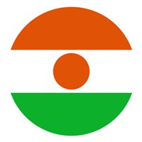 Niger Air Force Mi-24 Custom Airplane Briefing Stick