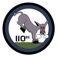 110 BS B-2 Spirit Custom Airplane Model Briefing Sticks