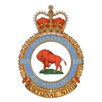 (429 TS C-17) Airplane Briefing Stick