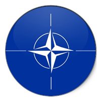 (NATO C-17)  Airplane Briefing Stick