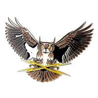 497 CTF Challenge Coin