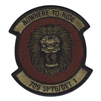 709 SPTG Det 1 OCP Patch
