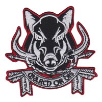 445 SFS Sage Eagle Patch