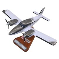 Piper PA-34 Seneca Custom Aircraft Model