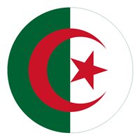 Algerian Air Force Mi-8 Custom Airplane Briefing Stick