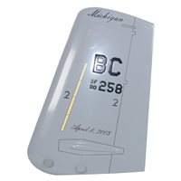 110 WG A-10 Tail Flash