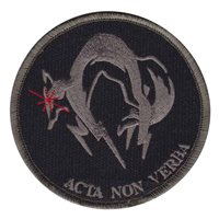 USAF Acta Non Verba Patch