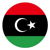 Libyan Air Force Mi-8 Custom Airplane Briefing Stick