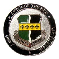 9 RW Inspector General Challenge Coin