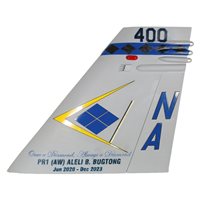 VFA-146 F/A-18E/F Super Hornet Custom Airplane Tail Flash