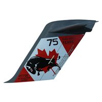 429 TS C-17 Airplane Tail Flash