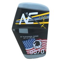 VAW-113 E-2C Hawkeye Custom Airplane Tail Flash