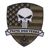 C Co 1-149 ARB Punisher Morale Patch