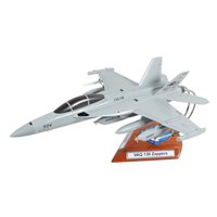 VAQ-130 EA-18G Custom Airplane Model 